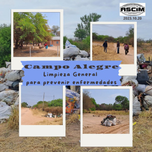 Limpieza general el Campo Alegre