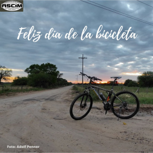 Feliz día de la bicicleta