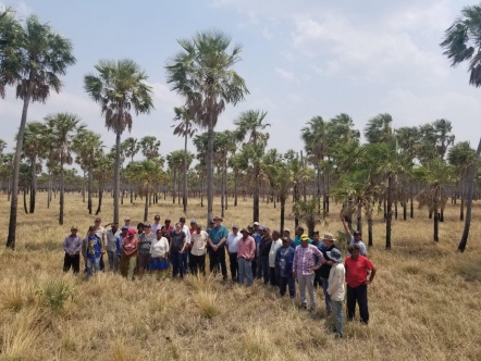 Encuentro de integración entre las comunidades Casuarina y Anaconda