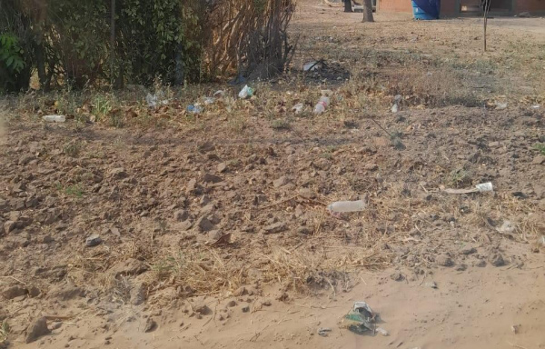 Juntos contra el Dengue