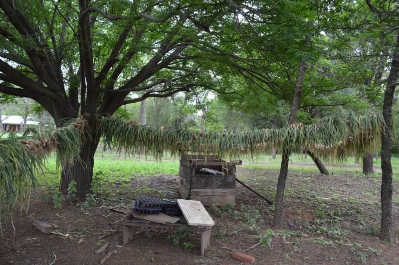 Proyecto Productivo 2018