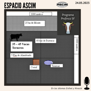 Proyecto 100 Profincas 5F