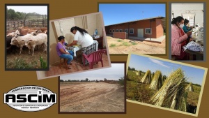 Informe semestral de la ASCIM 2020