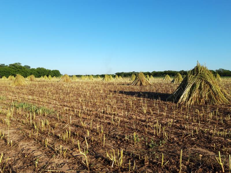 Aktivitäten in der Landwirtschaftsschule "La Huerta" werden fortgefahren