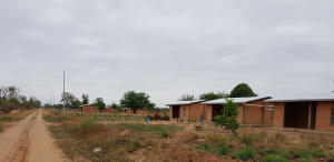 La comunidad Nicha Toyish