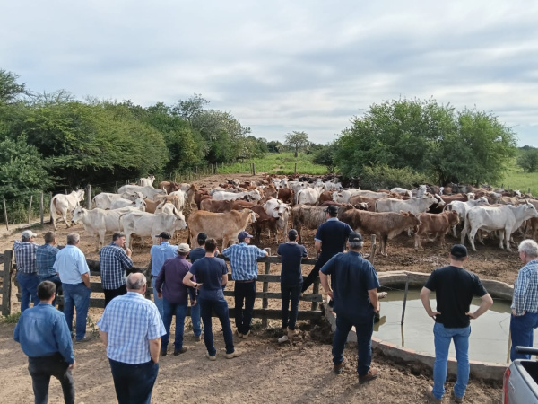 Reunión de asesores en Ebetogué