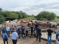 Reunión de asesores en Ebetogué