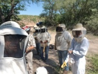 Monte Palmeras se capacita en el manejo de colmenas