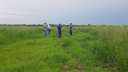 Asesores de Fincas 5F se reúnen en Pozo Amarillo